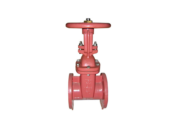 ZRIO-A1 DI Body Flanged Gate Valves