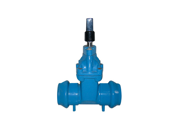 ZRIN-SC1 NRS Socket End Flanged Gate Valves