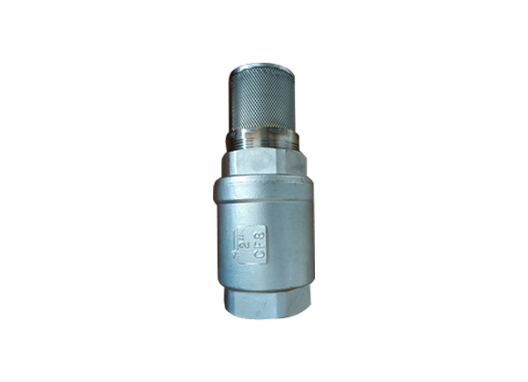 Stainless Steel Foot Valve